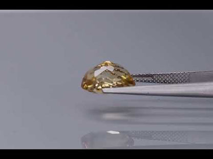 Primary video
