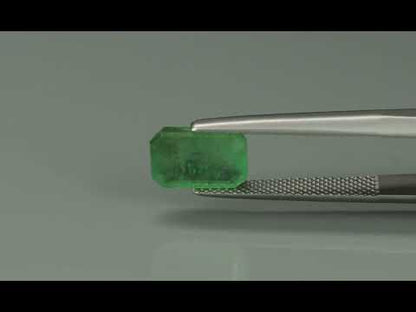 Primary video