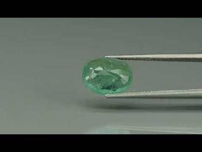 Primary video
