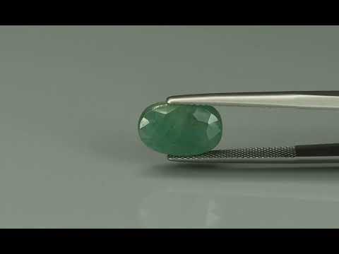 Primary video