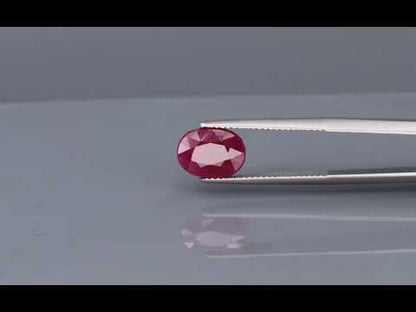 Primary video