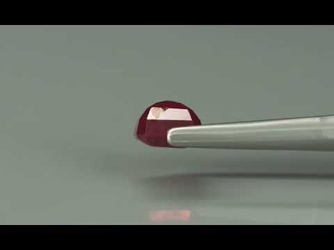 Primary video