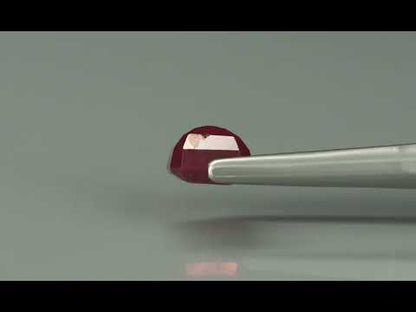 Primary video