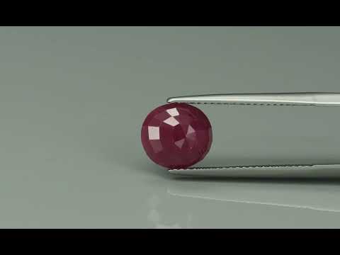 Primary video