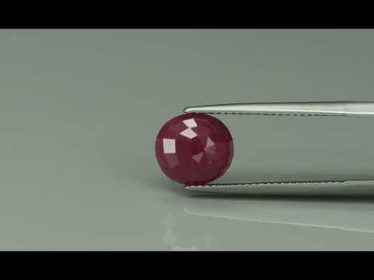 Primary video