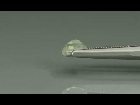 Primary video
