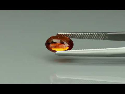Primary video