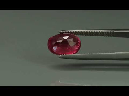 Primary video