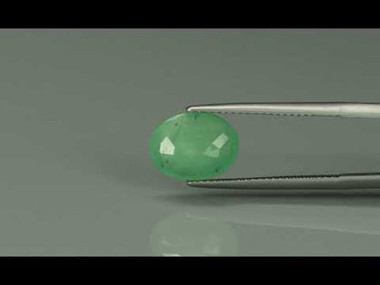 Primary video
