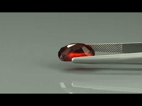 Primary video