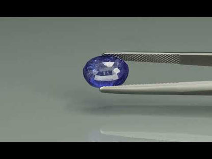Primary video
