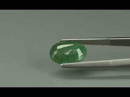 Primary video