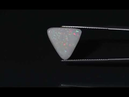 Primary video