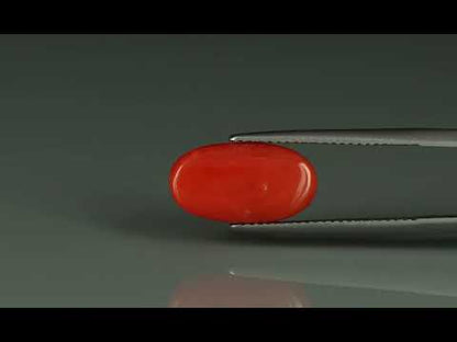 Primary video