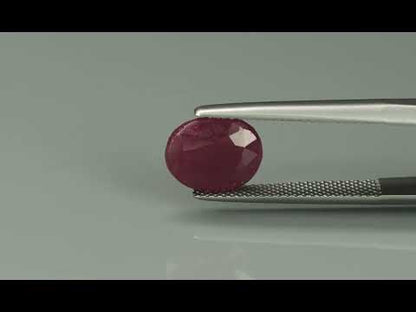 Primary video