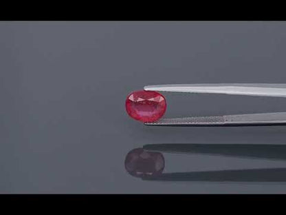 Primary video