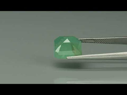 Primary video