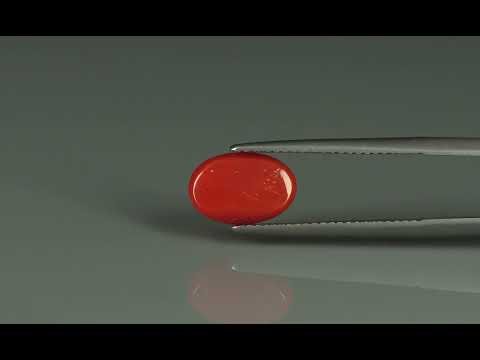 Primary video