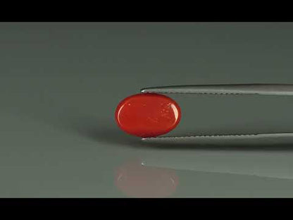 Primary video