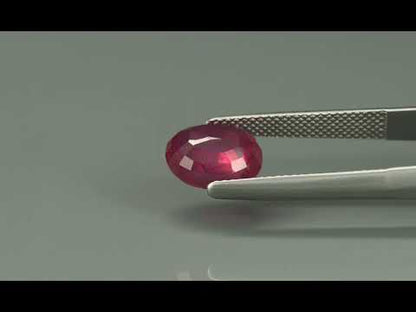 Primary video