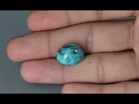 Secondary video