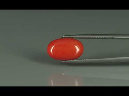 Primary video