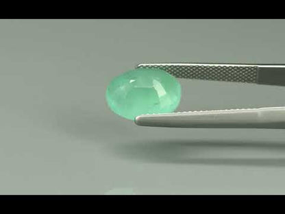 Primary video