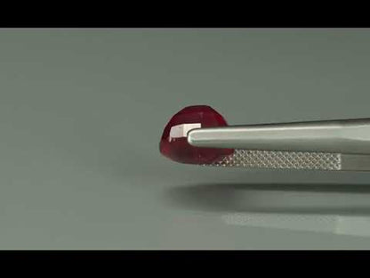 Primary video