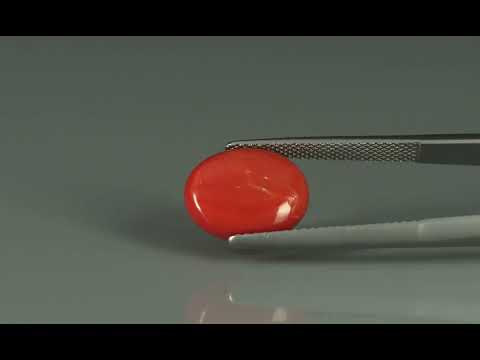 Primary video