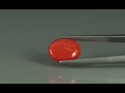 Primary video