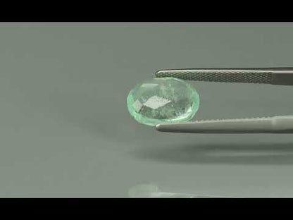 Primary video