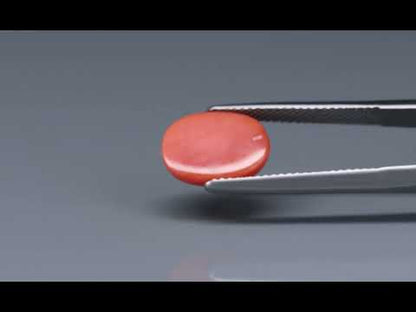 Primary video