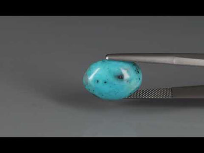 Primary video