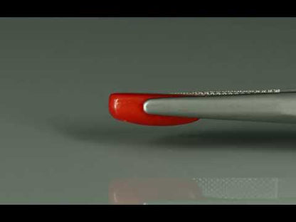 Primary video