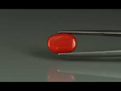 Primary video