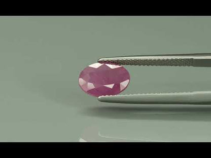 Primary video