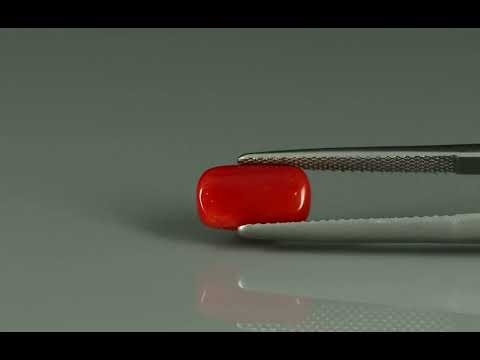 Primary video