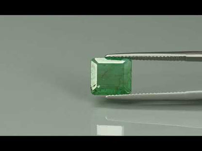 Primary video