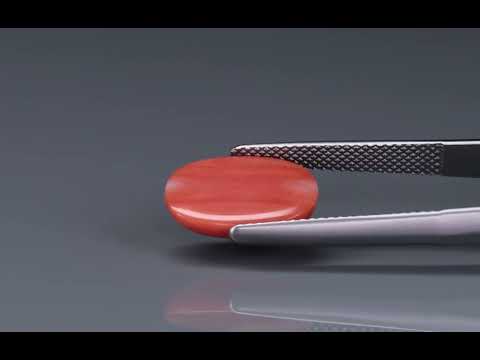 Primary video
