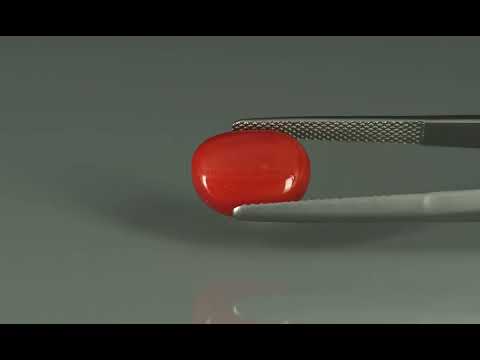 Primary video