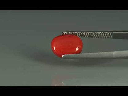 Primary video