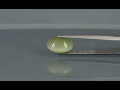 Primary video