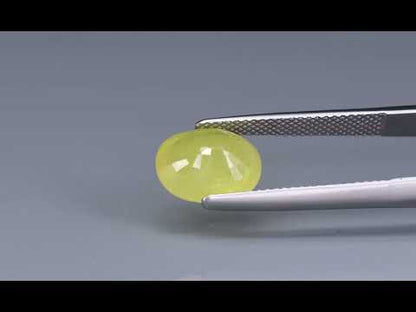 Primary video