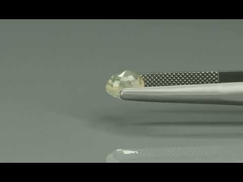Primary video