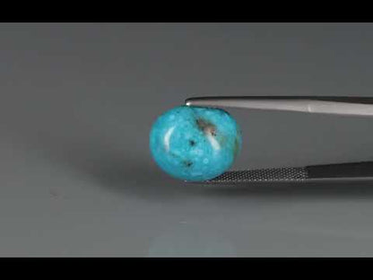 Primary video