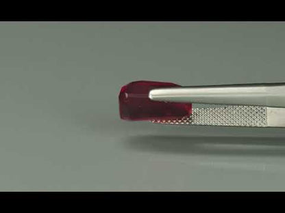 Primary video
