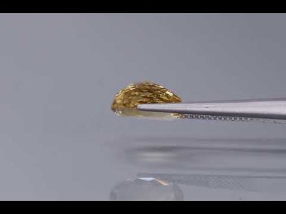 Primary video