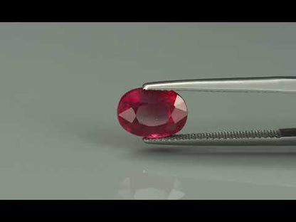 Primary video