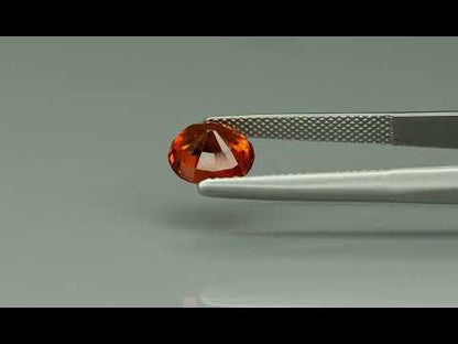 Primary video