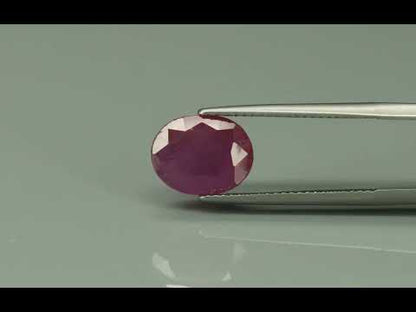 Primary video